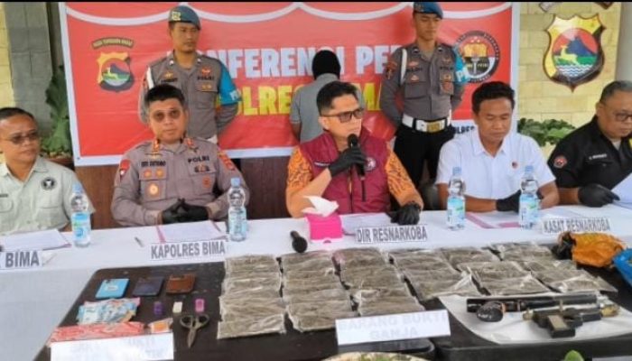 Polres Bima dan Polda NTB Ungkap Ladang Ganja di Desa Lido, Satu Tersangka Ditangkap