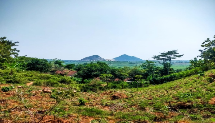 Tambang Batuan di Sumberrejo Jepara Terancam Picu Krisis Lingkungan dan Longsor